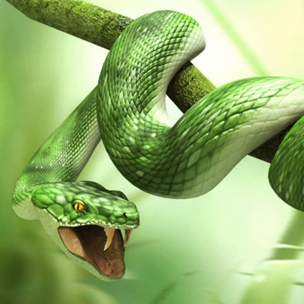 Animals/Wildlife #40