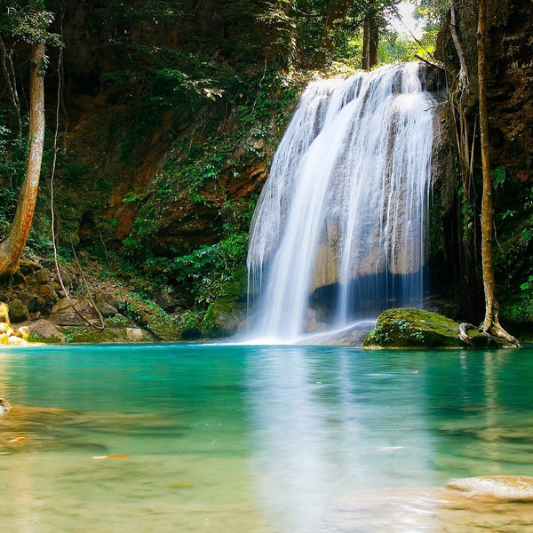 Nature #323