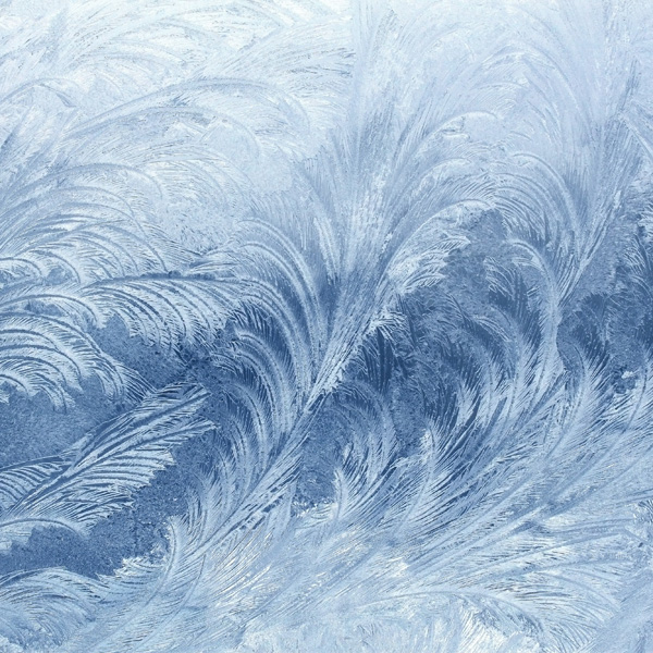 Backgrounds/Textures #58