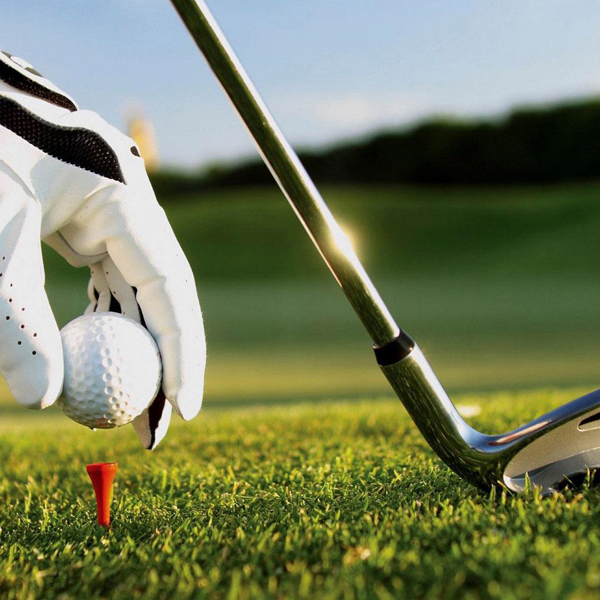 Sports/Recreation #230