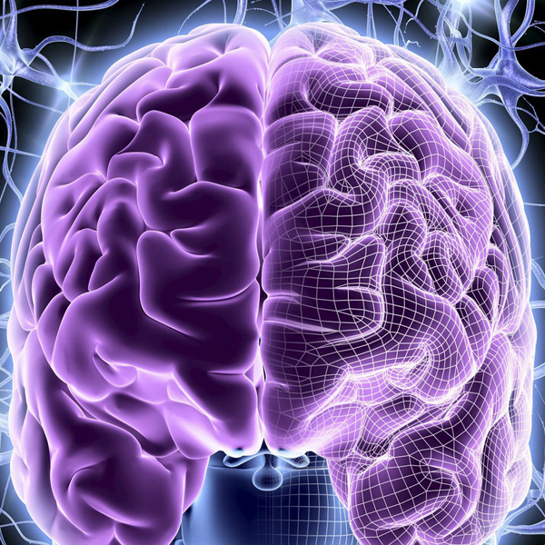 Healthcare/Medical #393