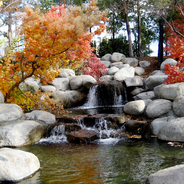 Parks/Outdoor #284