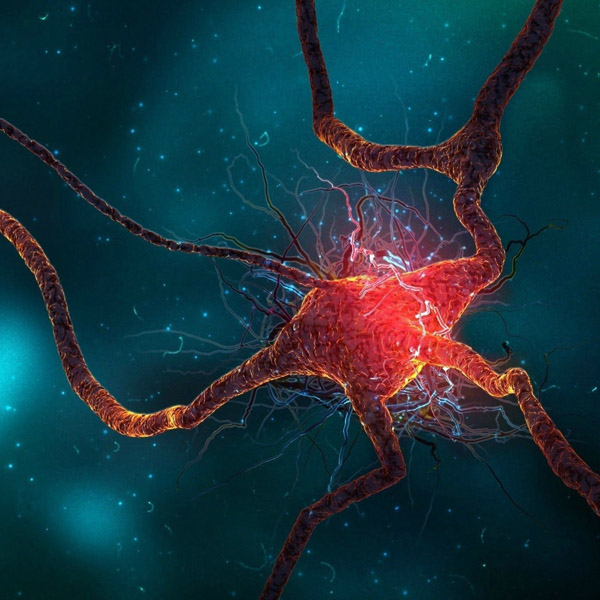 Science #253