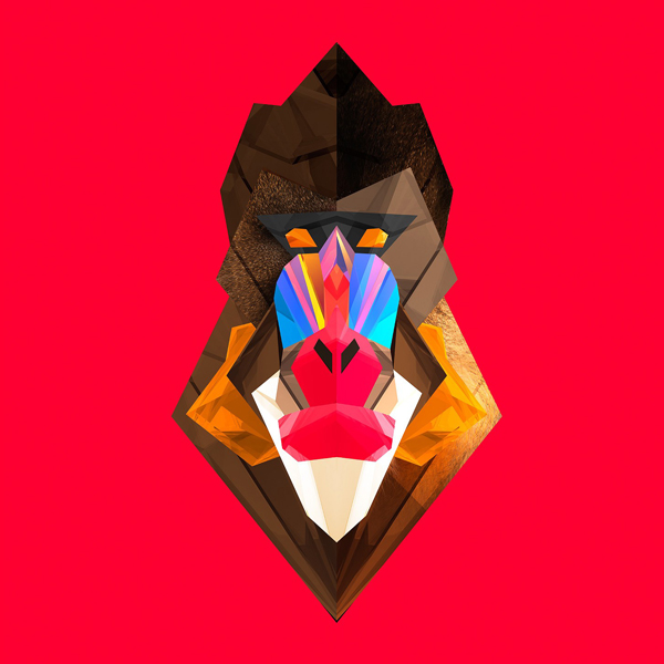 Vectors #176