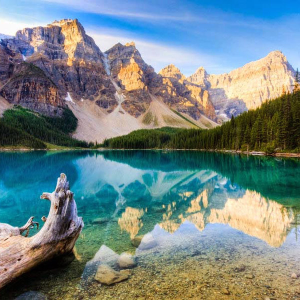 Nature #328