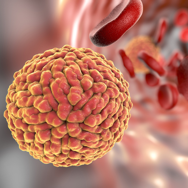 Healthcare/Medical #407